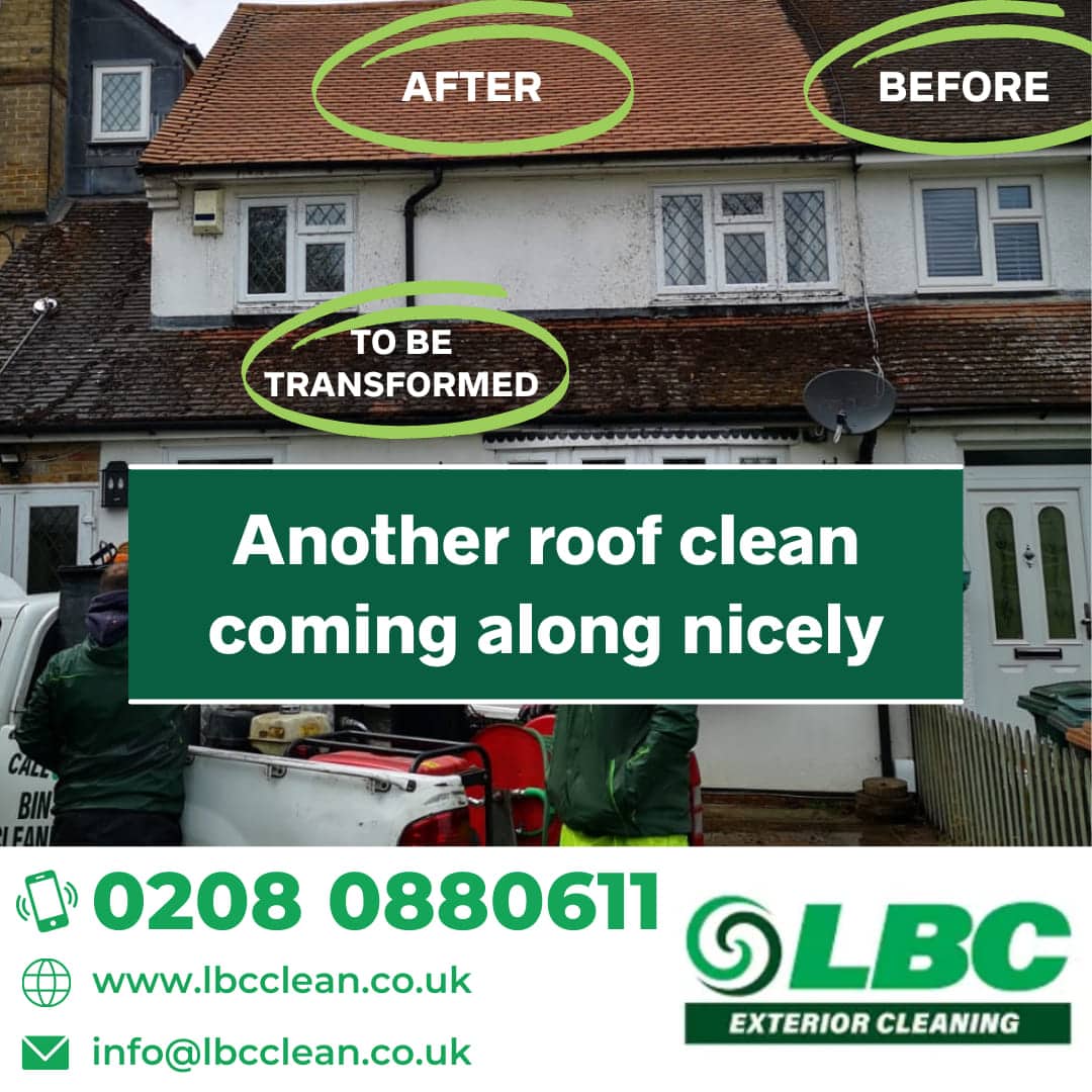 Roof Cleaning Problems