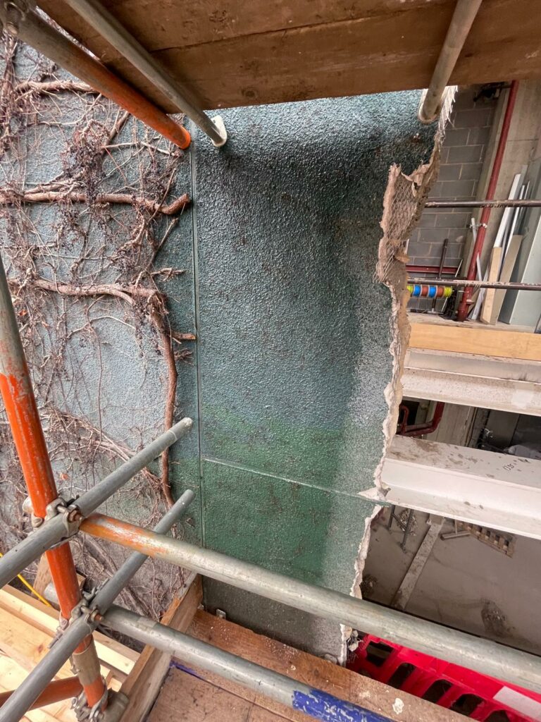 After: Ivy Root removal from Render
