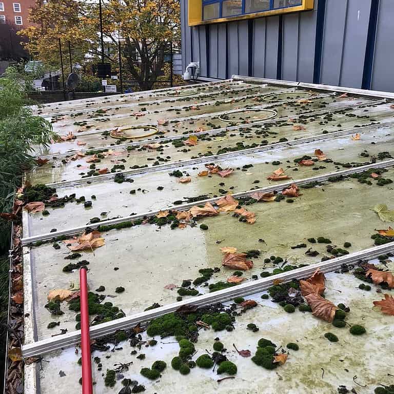 Before: Complete Canopy Cleaning, Cleaning a dirty glass / plastic roof