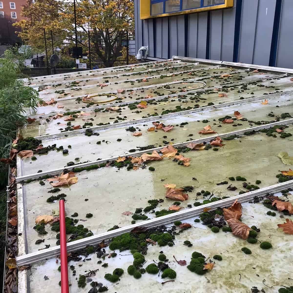 Complete Canopy Cleaning, Cleaning a dirty glass / plastic roof