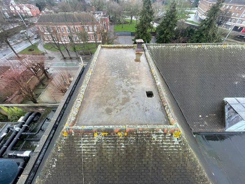 Gutter Clean, Flat roof cleaning