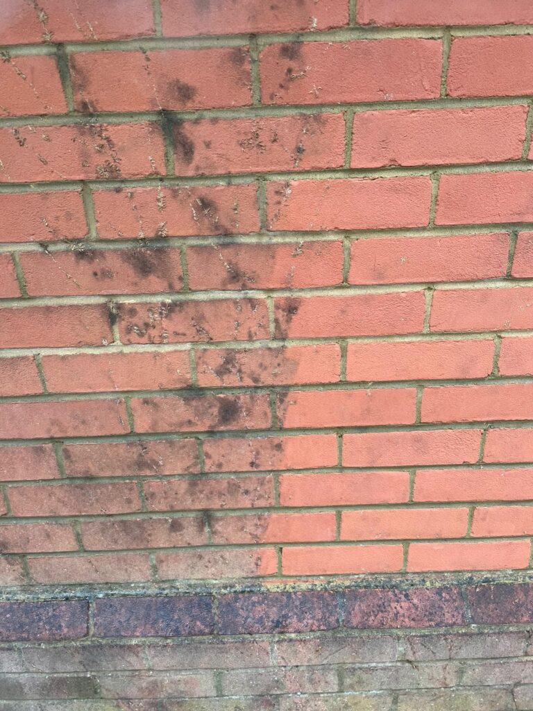 Orange-red brick wall stained with dark, irregular patches of mold or mildew, concentrated in the upper left area. The lower part of the wall, near the base, shows a transition to dark marble or stone blocks. The mortar lines between the bricks are visible and generally clean.