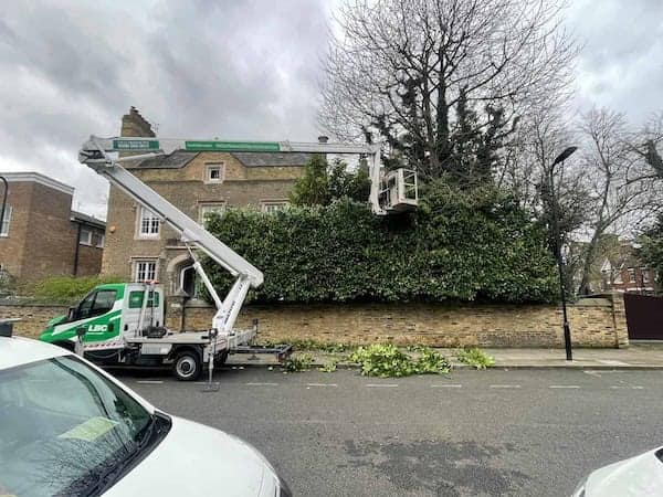 A tree-cutting truck with an extended lift platform is parked on the street in front of a residential building. The worker in the platform is trimming branches from a tall tree. Cut branches and leaves are scattered on the pavement and street below. A cloudy sky looms overhead.