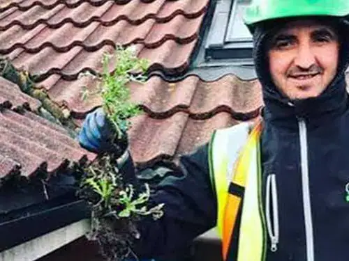 Gutter cleaning